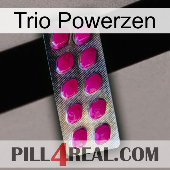 Trio Powerzen 09.jpg